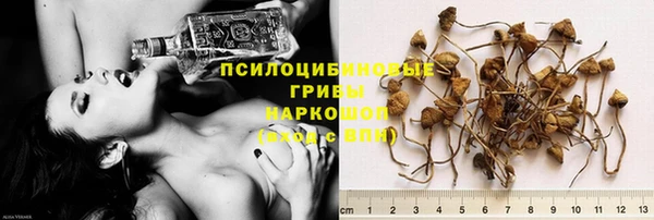 ECSTASY Алзамай