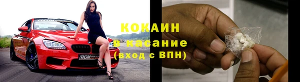 ECSTASY Алзамай