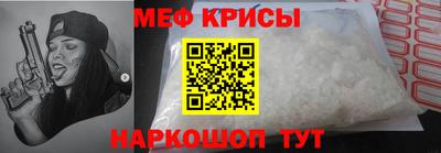 крисы Славгород