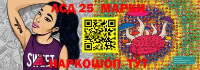 крисы Славгород