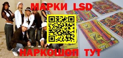 крисы Славгород