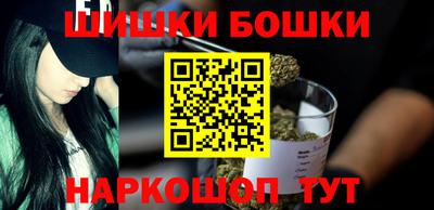 крисы Славгород