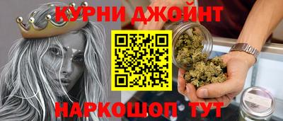 крисы Славгород