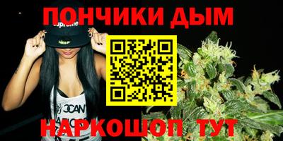 индика Сланцы