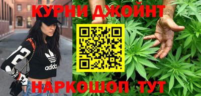 индика Сланцы