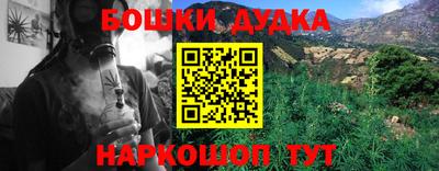 индика Сланцы