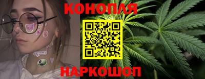 индика Сланцы