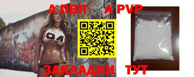индика Сланцы