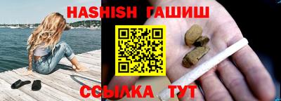 индика Сланцы