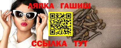 крисы Славгород