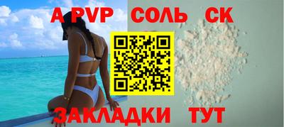 индика Сланцы