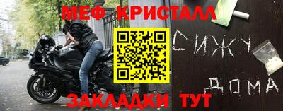 крисы Славгород