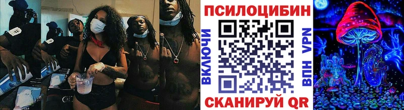 магазин продажи   Черкесск  Псилоцибиновые грибы прущие грибы 