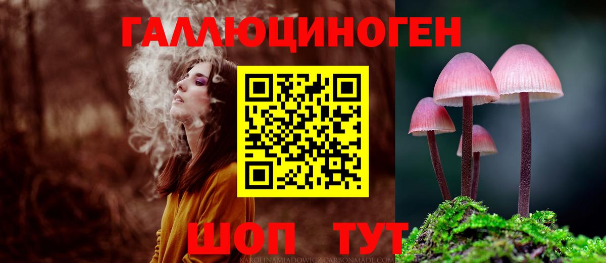 Галлюциногенные грибы Cubensis  Вход с VPN  Черкесск 
